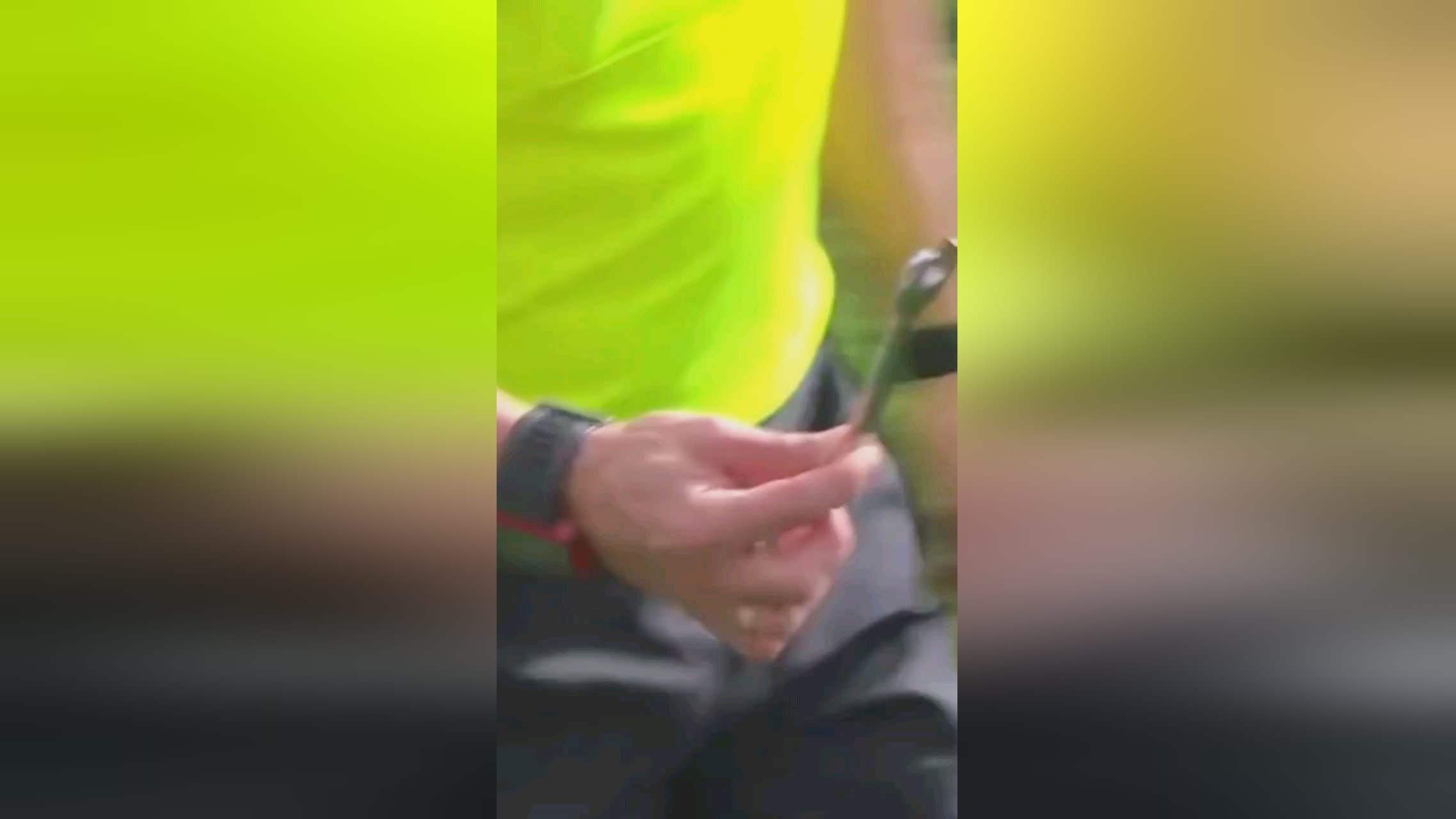 的阶段随